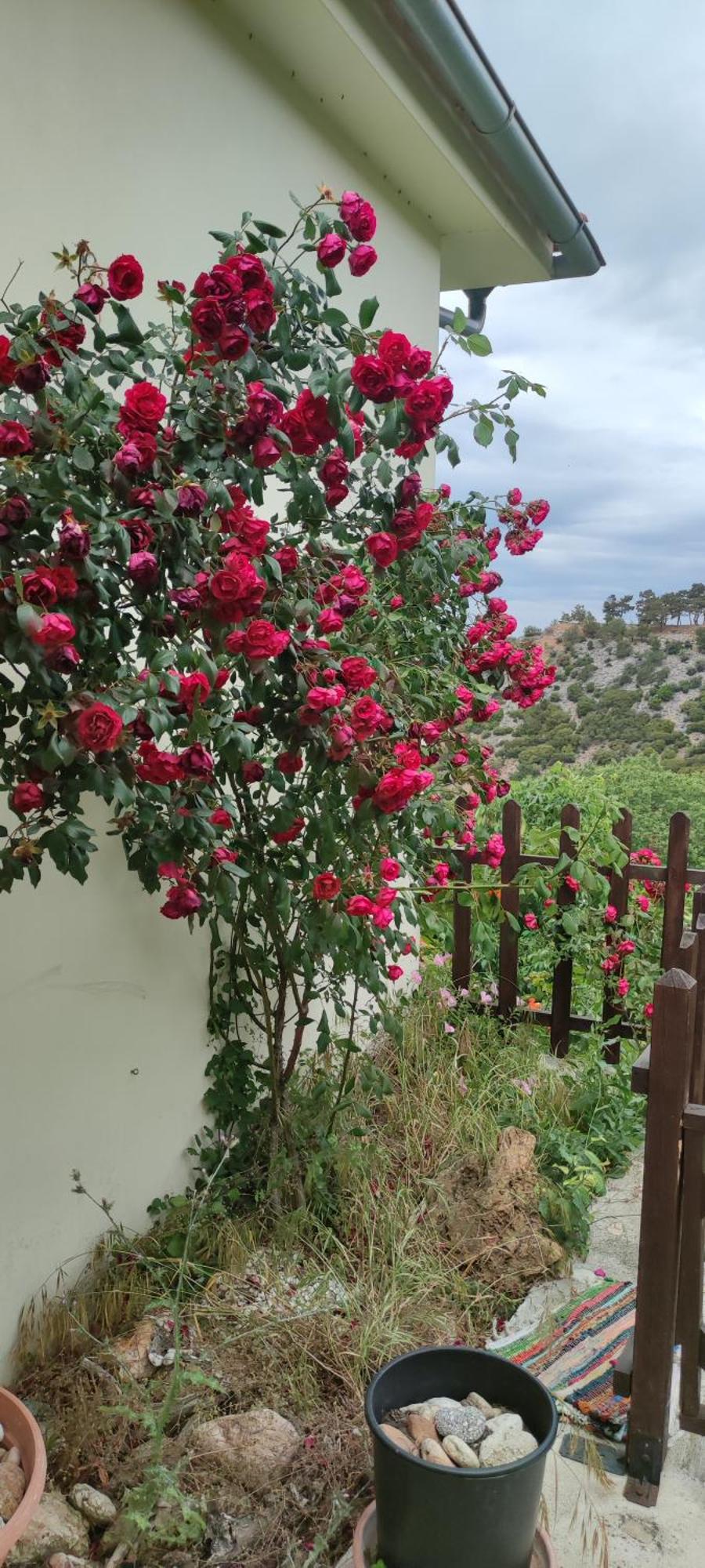 Sotiros Sunset House Villa Skala Sotiros Dış mekan fotoğraf